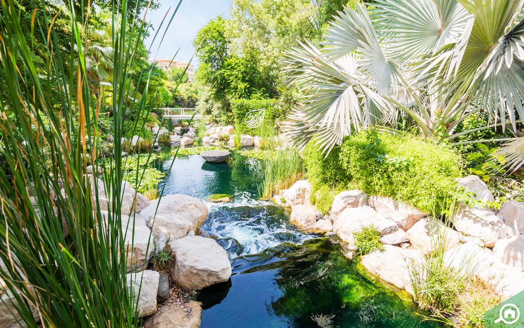 Al Barari pond