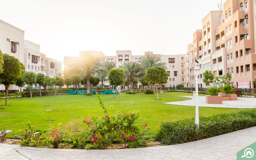 Al Furjan Rent Trends Where are the best Apartments & Villas? MyBayut