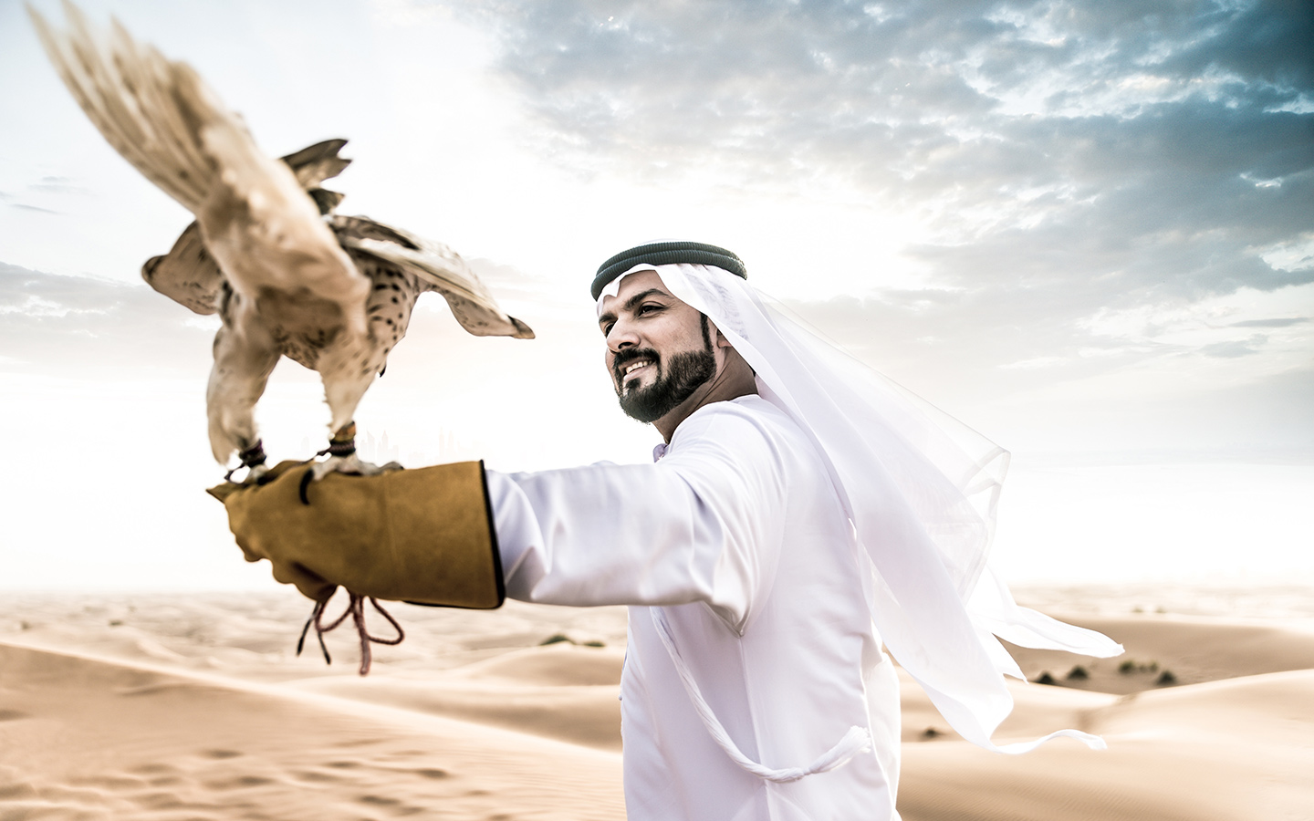 رجل وصقر