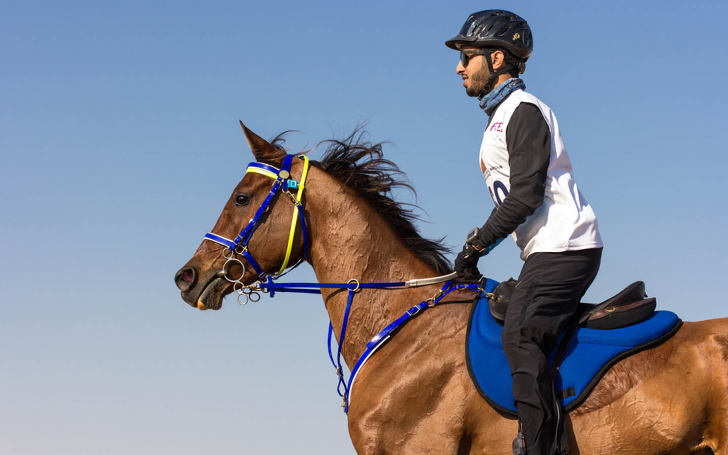 Dubai World Cup A History of Dubai's Horse Racing Glory MyBayut
