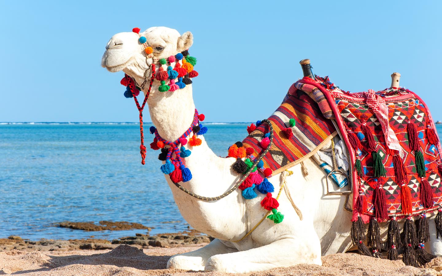 Abu Dhabi Events for Jan 2023 Concerts, Sports & More MyBayut