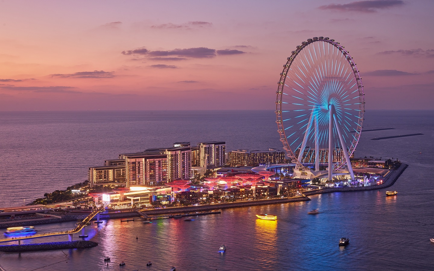 أنواع مقصورات عين دبي