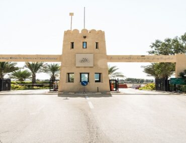 مول في العين