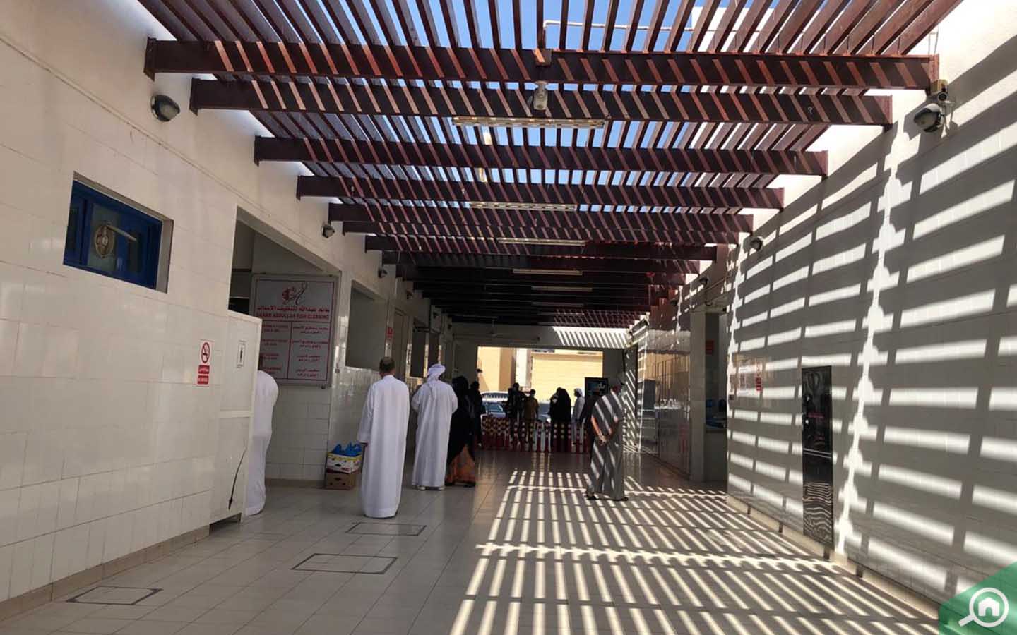 All About Ajman Fish Market Timings, Location & more MyBayut