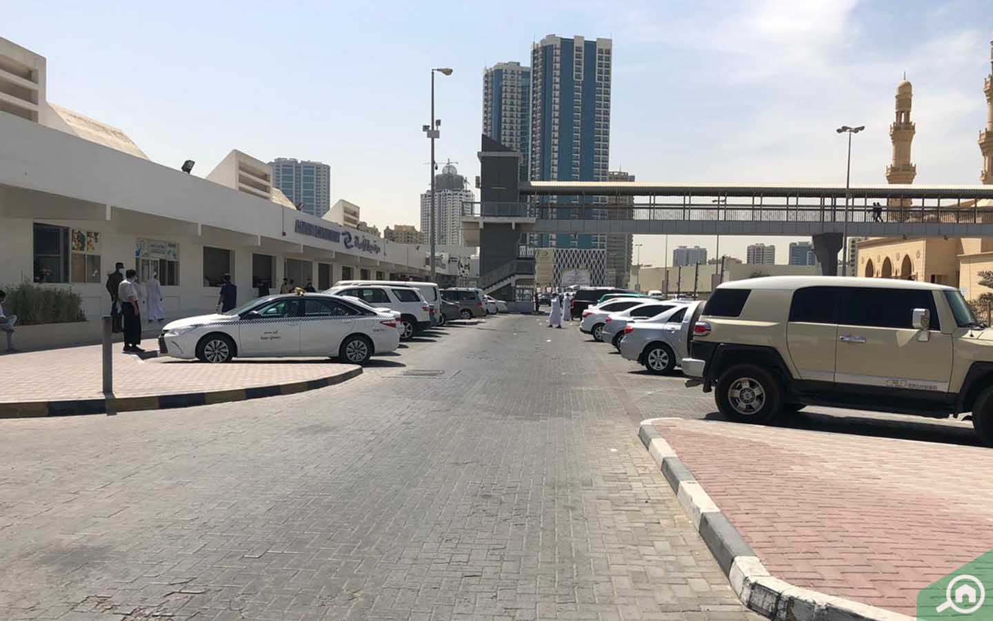all-about-ajman-fish-market-timings-location-more-mybayut