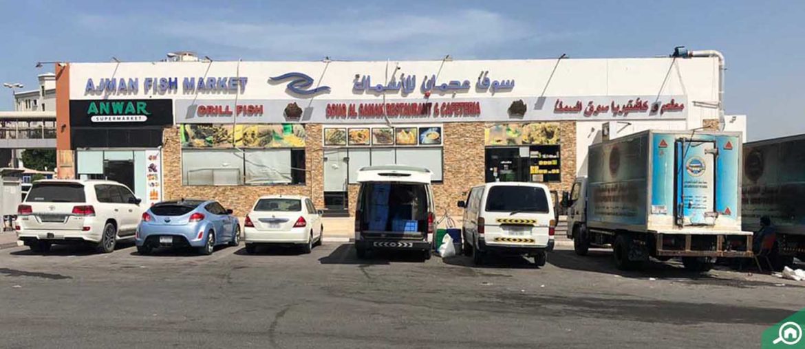 All About Ajman Fish Market Timings, Location & more MyBayut