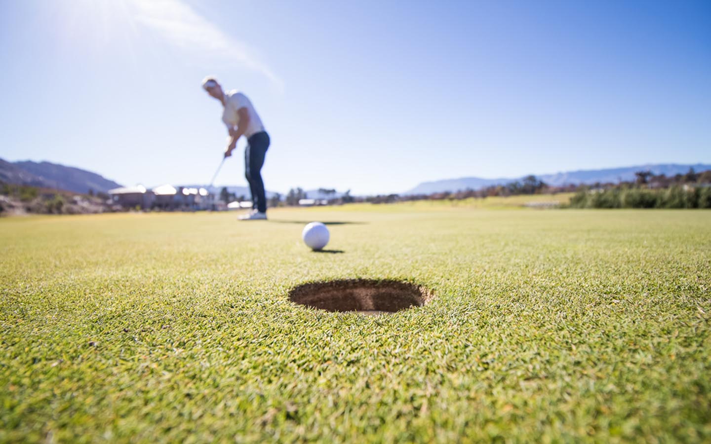 Al Ain Equestrian, Shooting & Golf Club Fee, Contact & More MyBayut