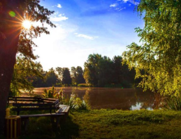 حديقة الهير