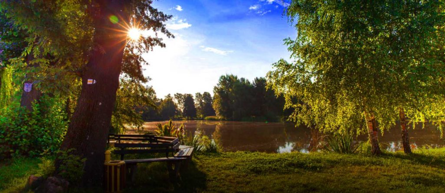 حديقة الهير