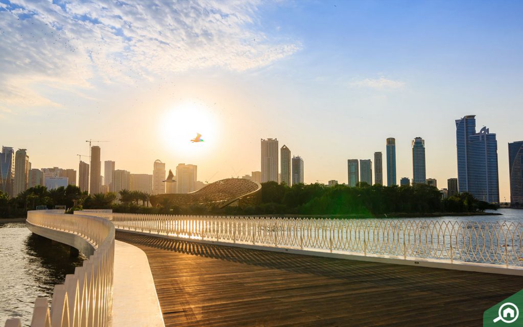 Al Khalid lake at Al Taawun