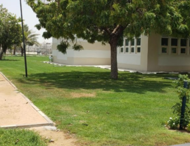 حديقة الناصرية في الشارقة