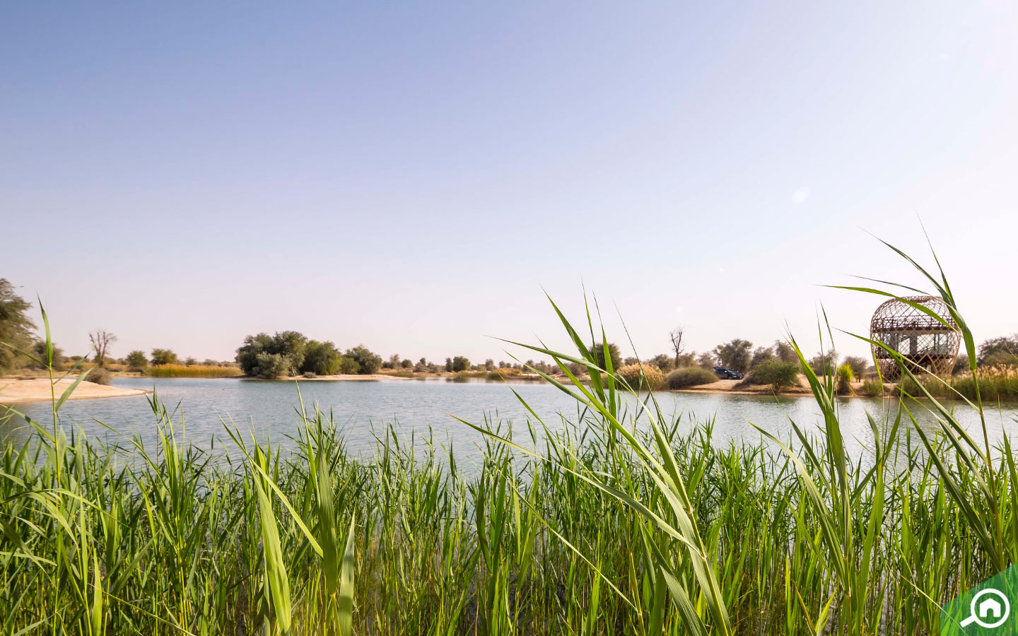 Al Qudra Lake Guide Love Lake, Camping, Locations & More MyBayut