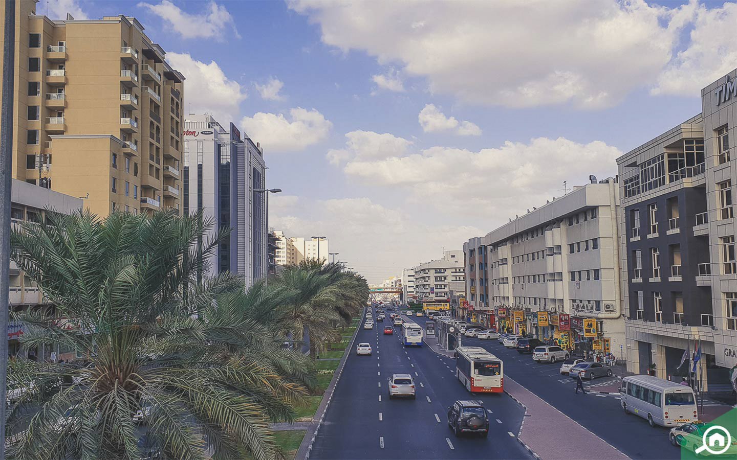 شارع في القصيص