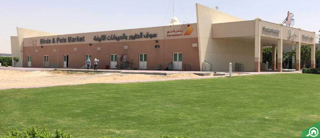 Dubai Birds and Pets Market: Shops, Clinics & More - MyBayut