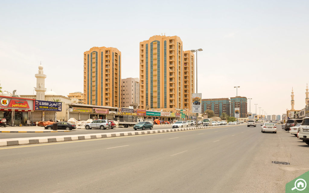 منطقة النخيل
