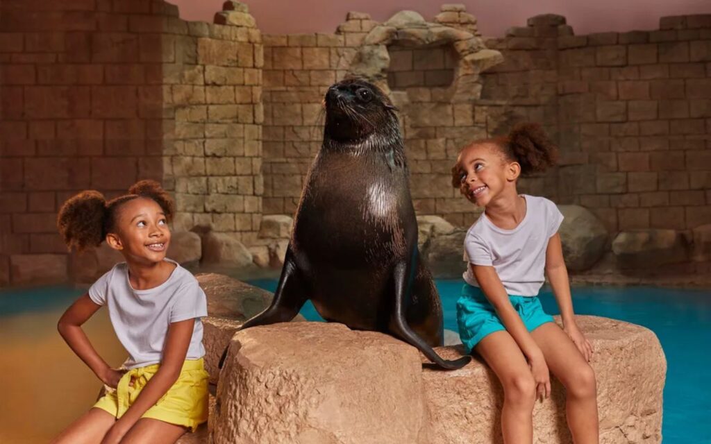 The Sea Lion Meet & Greet brings ocean charm up close