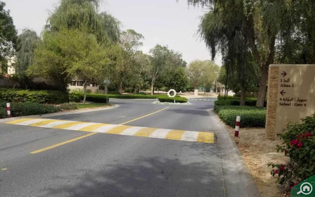 Street view of Alma Arabian Ranches