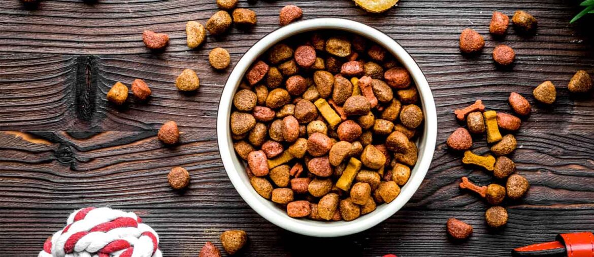 Expert Advice on Choosing the Right Pet Food MyBayut