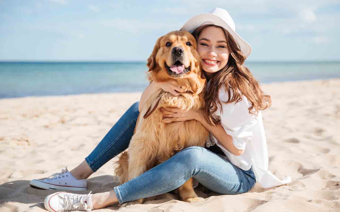 Expert Advice on Choosing the Right Pet Food MyBayut