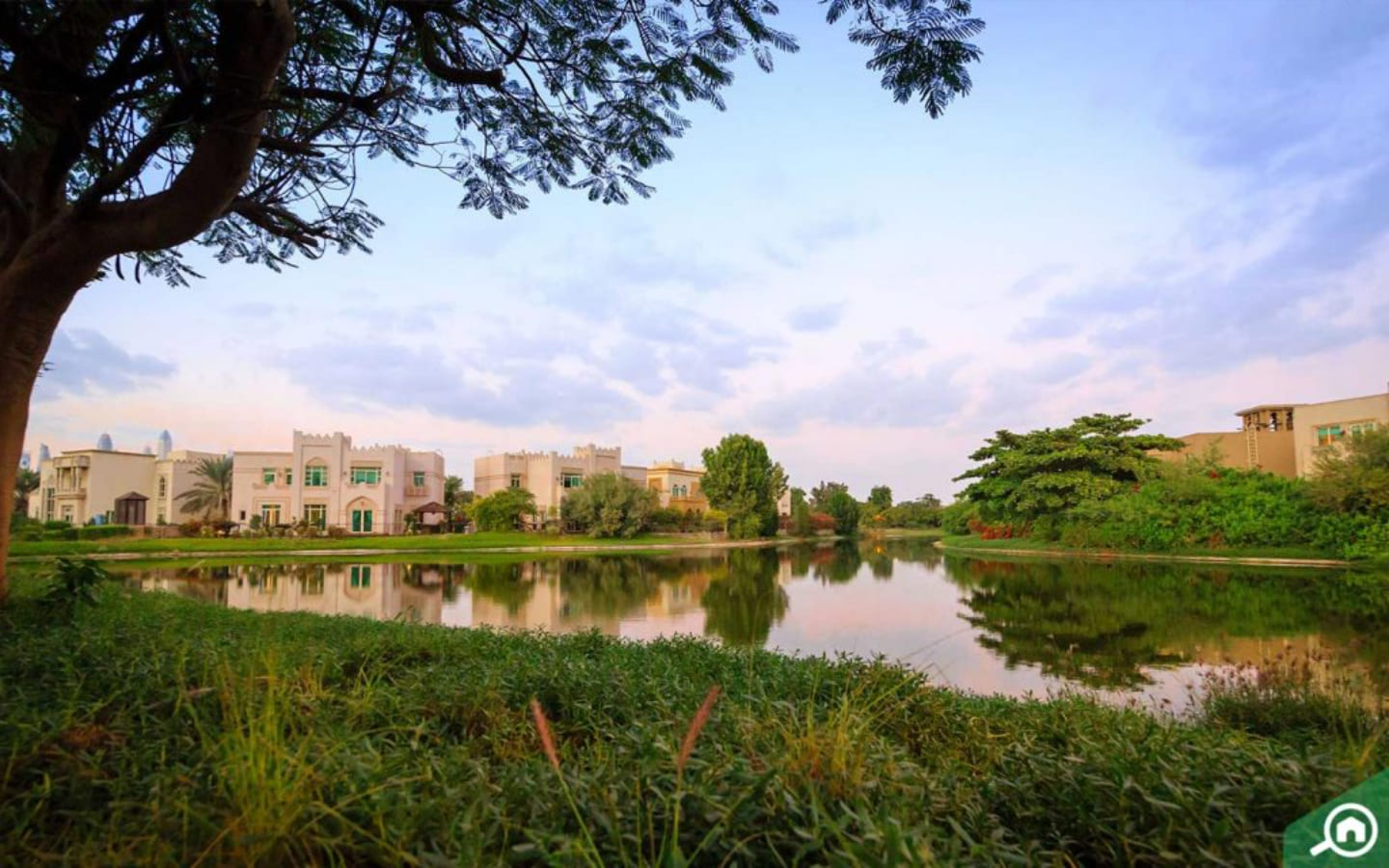 مساكن على البحيرة في جزر جميرا