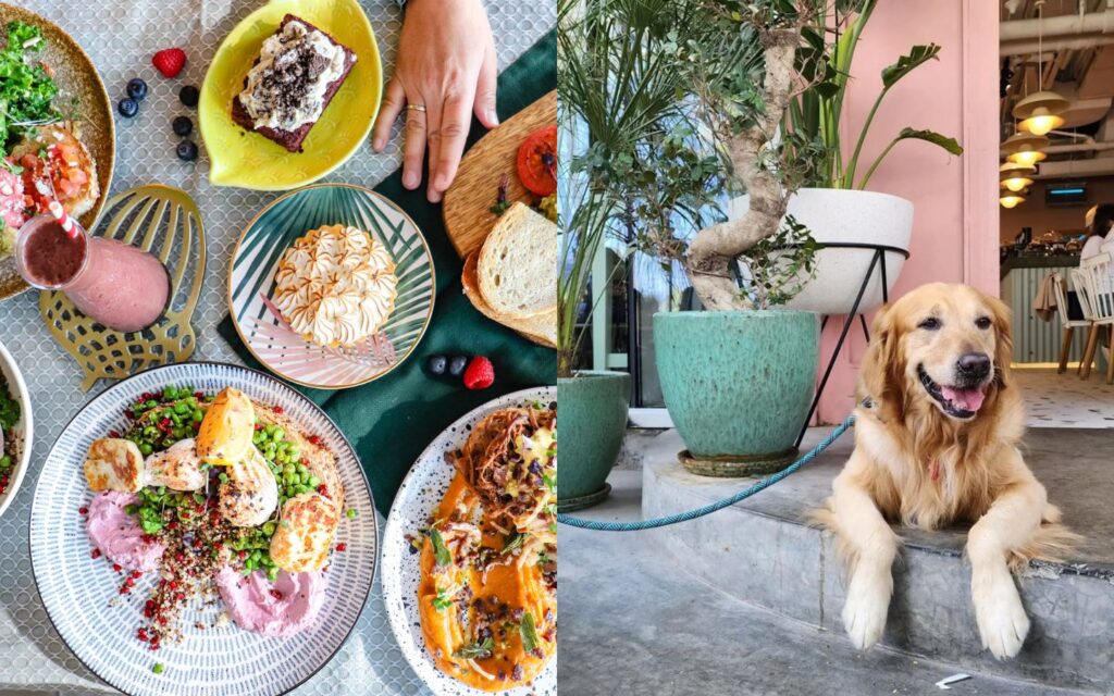 Take a break, bring your pup and enjoy this local favourite spot