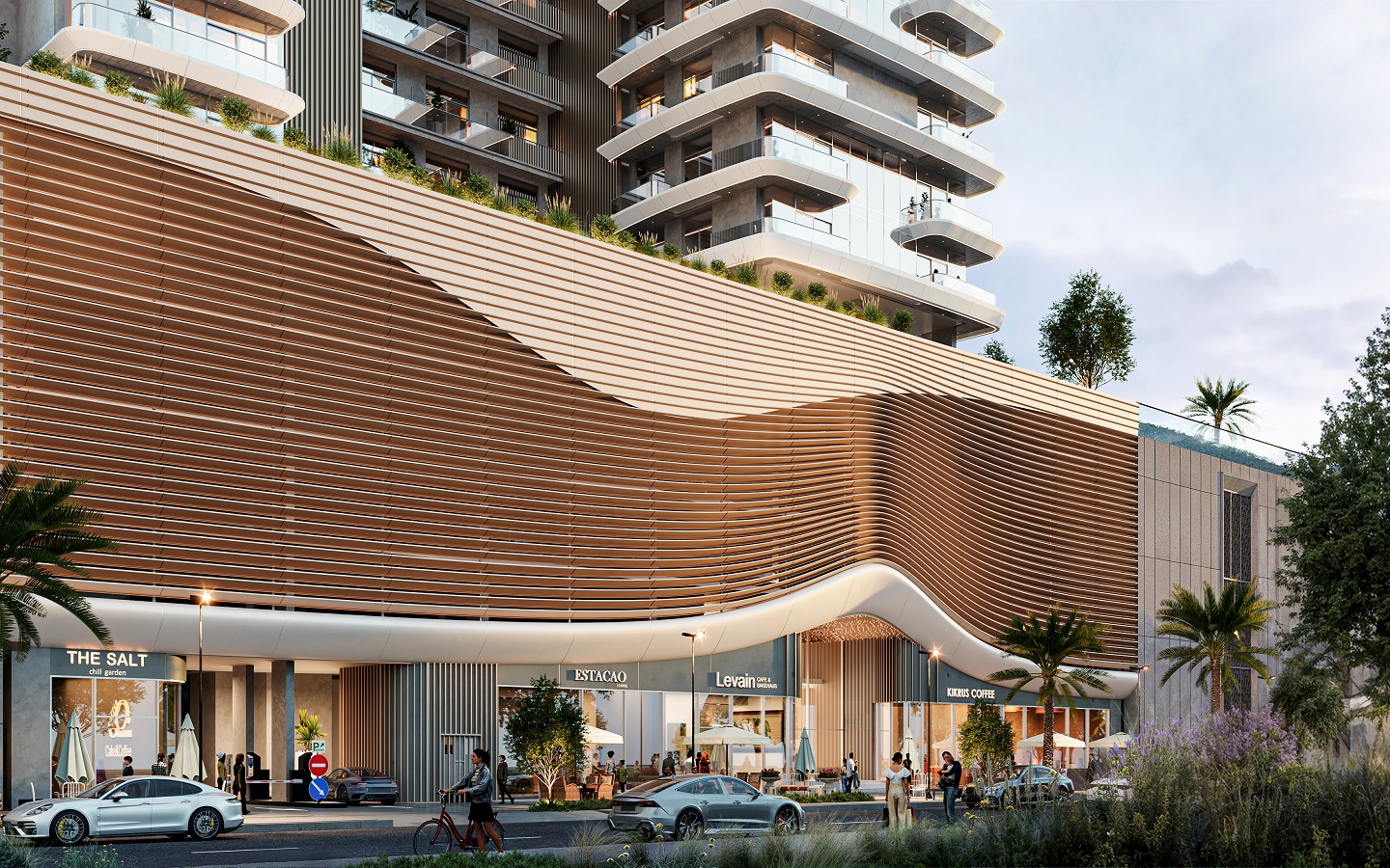 مشروع ليلي عزيزي