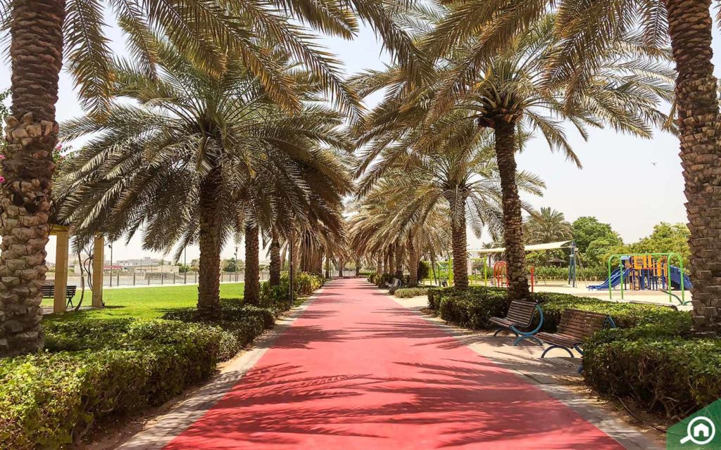 حديقة
