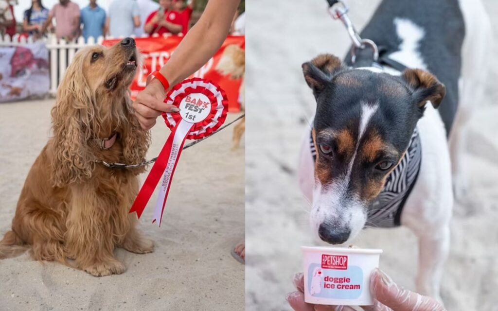 Barkfest is the cutest highlight of Dubai’s upcoming events
