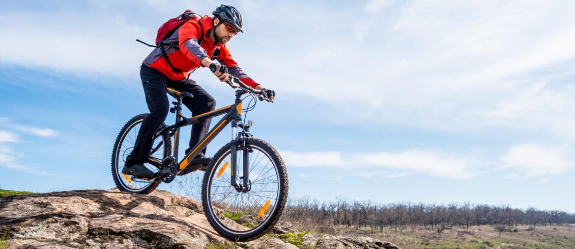 Mountain Bike Trails in Dubai Hatta Wadi, Mushrif Park & More MyBayut