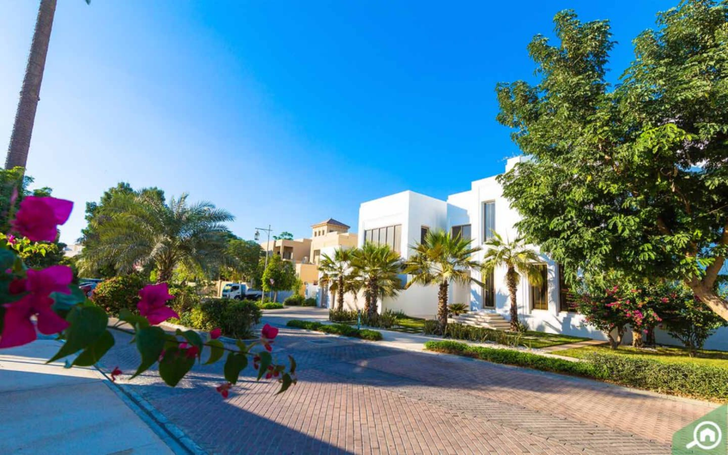 فلل في البراري