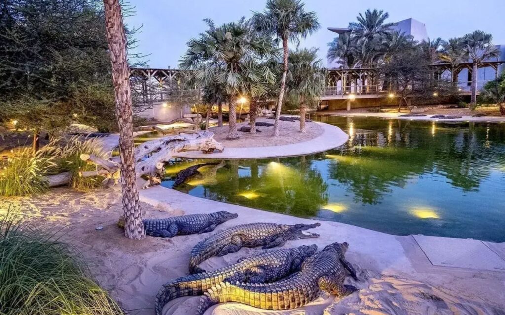 Experience a unique encounter at Dubai Crocodile Park