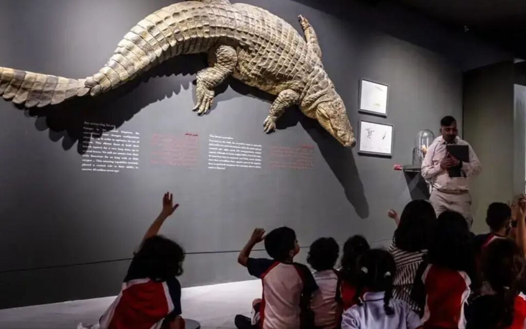 students educational trip to Dubai Crocodile Park