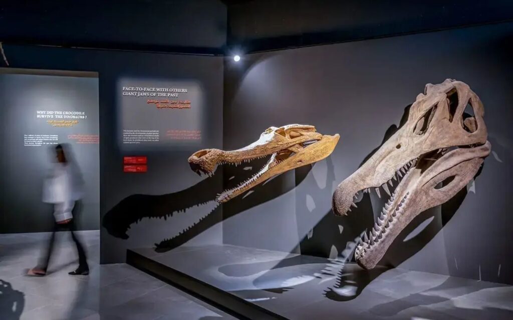 Crocodile Park invites you to trace the evolutionary footsteps of reptiles