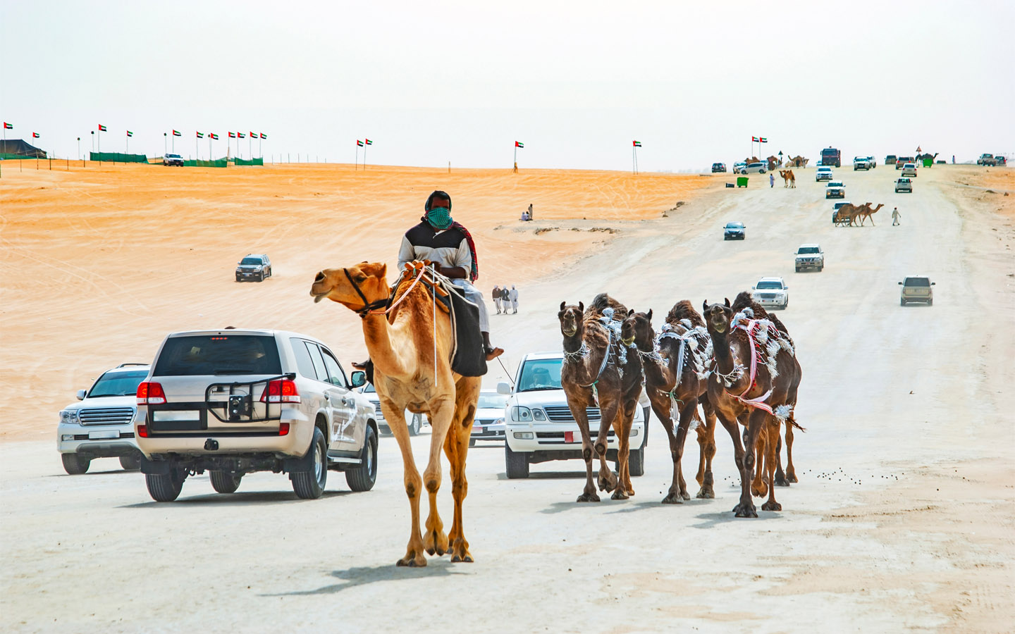 Al Dhafra Festival 2022 Dates, Location, Events & More MyBayut