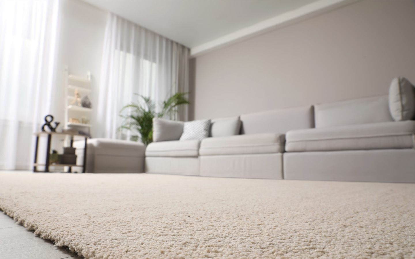 سجادة في منزل