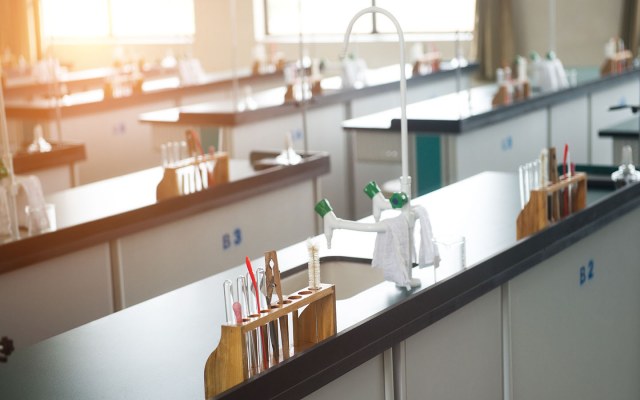 pakistani-schools-in-sharjah-ajman-fees-curriculum-mybayut