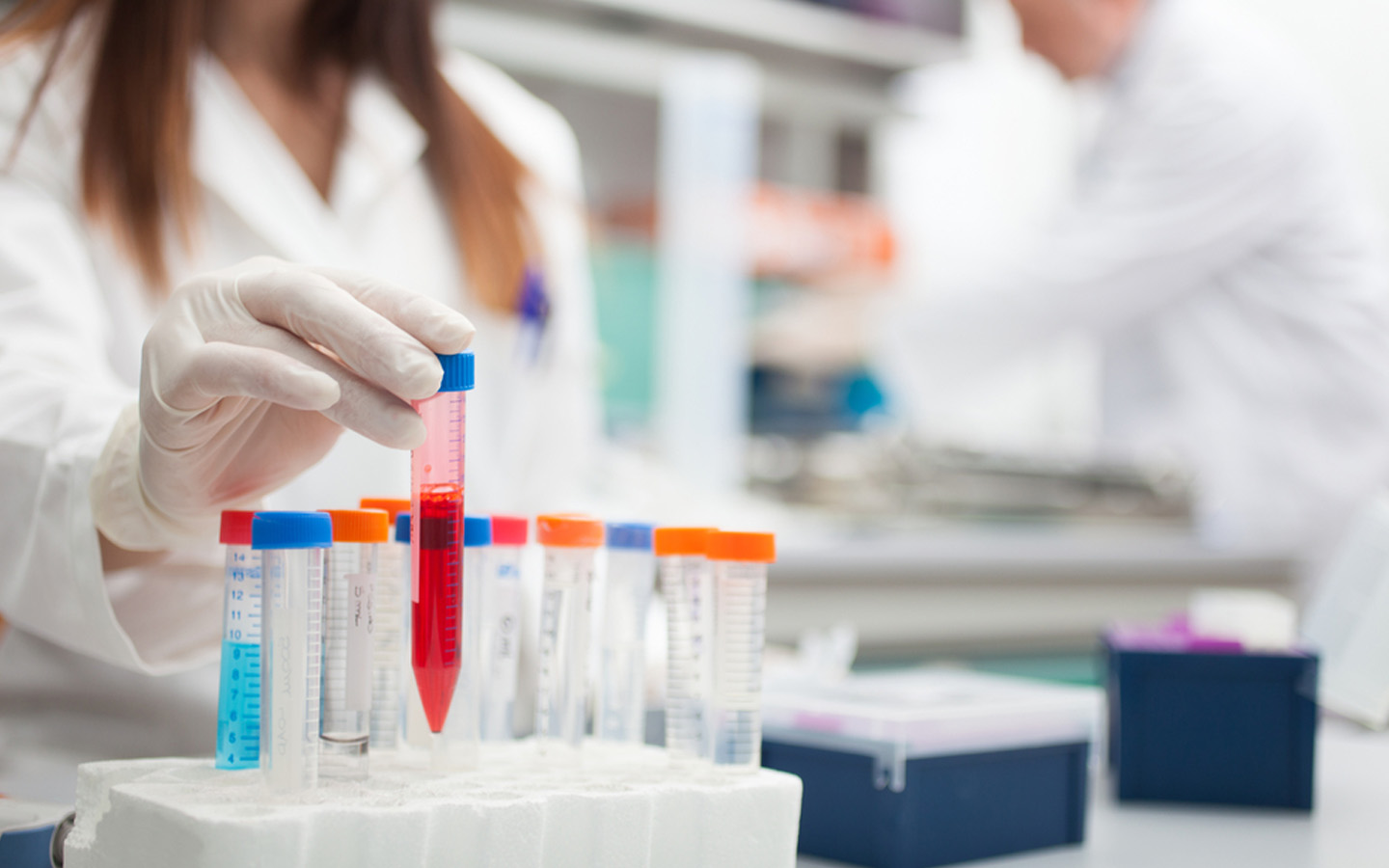 Clinics in Al Nahda Sharjah Aster, Prime Medical Center & more MyBayut