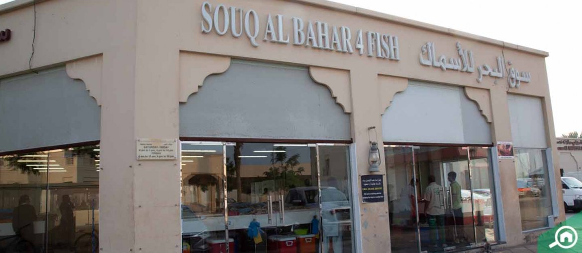 All about Jumeirah Fish Market Timings, Location & more MyBayut