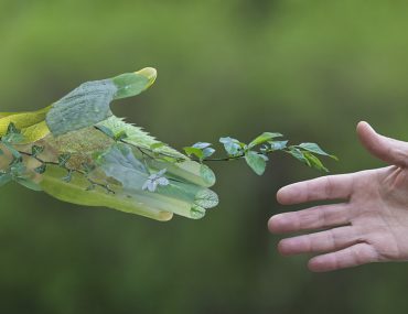 صورة تشجع على الاقتصاد الأخضر