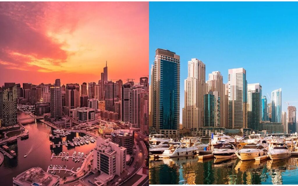 dubai marina yacht club membership
