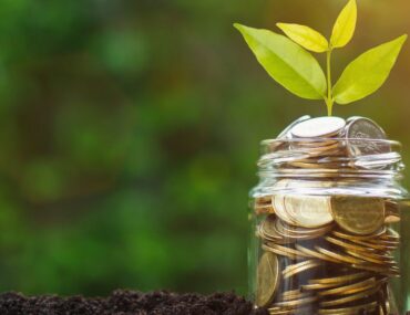 Jar filled with coins and a plant symbolising savings, showing how to reduce DEWA bill in Dubai.