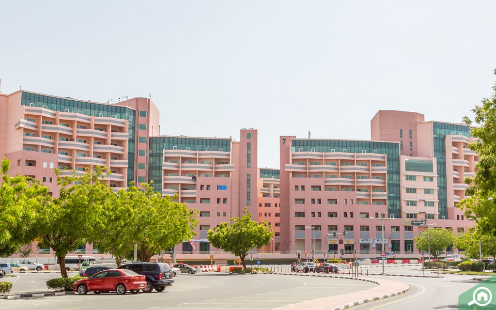 Renting in Discovery Gardens