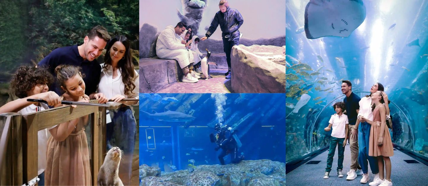 exciting Dubai Underwater Zoo activities for everyone