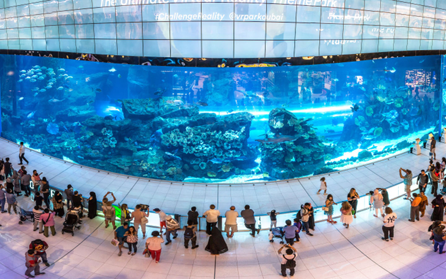 Dubai Mall Facts You Probably Didn t Know About MyBayut dubai-mall-facts-you-probably-didn-t-know-about-mybayut