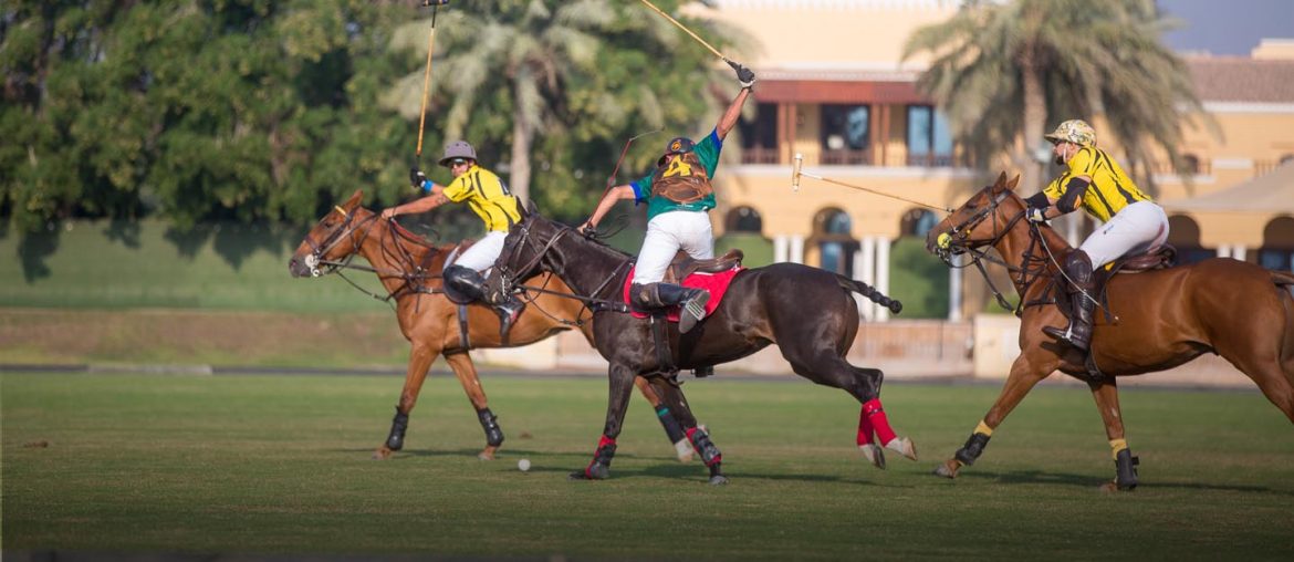 Dubai Polo and Equestrian Club Location, Contact & More MyBayut