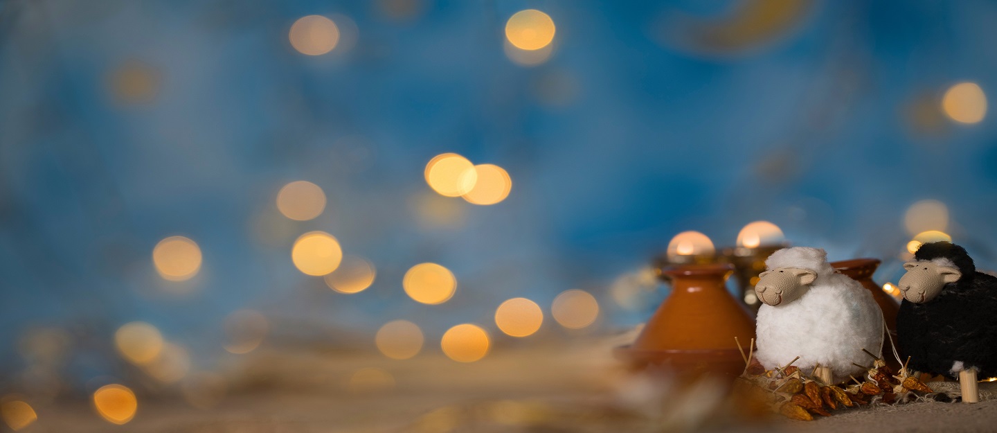 فعاليات عيد الأضحى في دبي