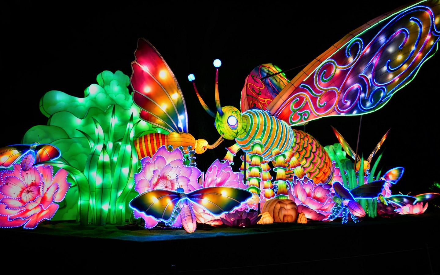 انشطة عيد الفطر