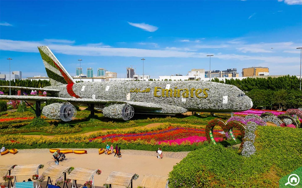 Floral Emirates A380 Model in Dubai Miracle Garden.