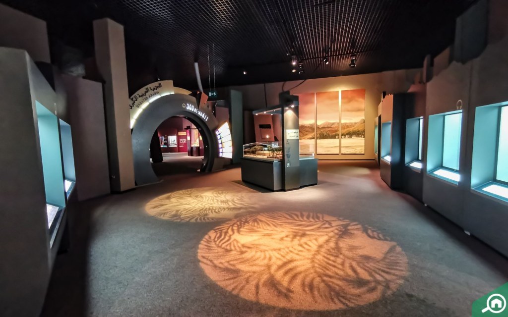 Sharjah archaeology artefacts in Great Arabia arena
