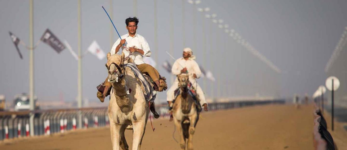 Traditional sports in UAE Falconry, Archery & More MyBayut